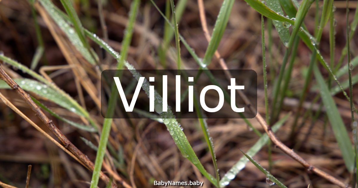 Villiot