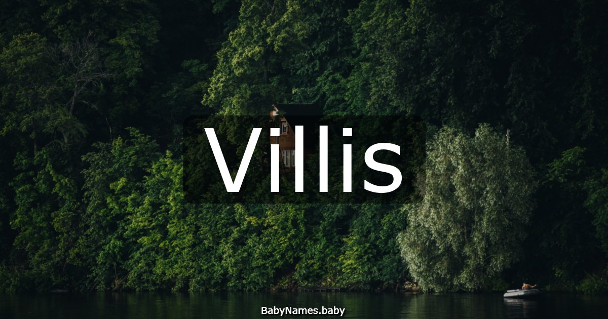 Villis