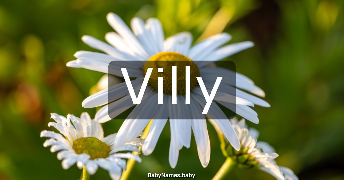 Villy