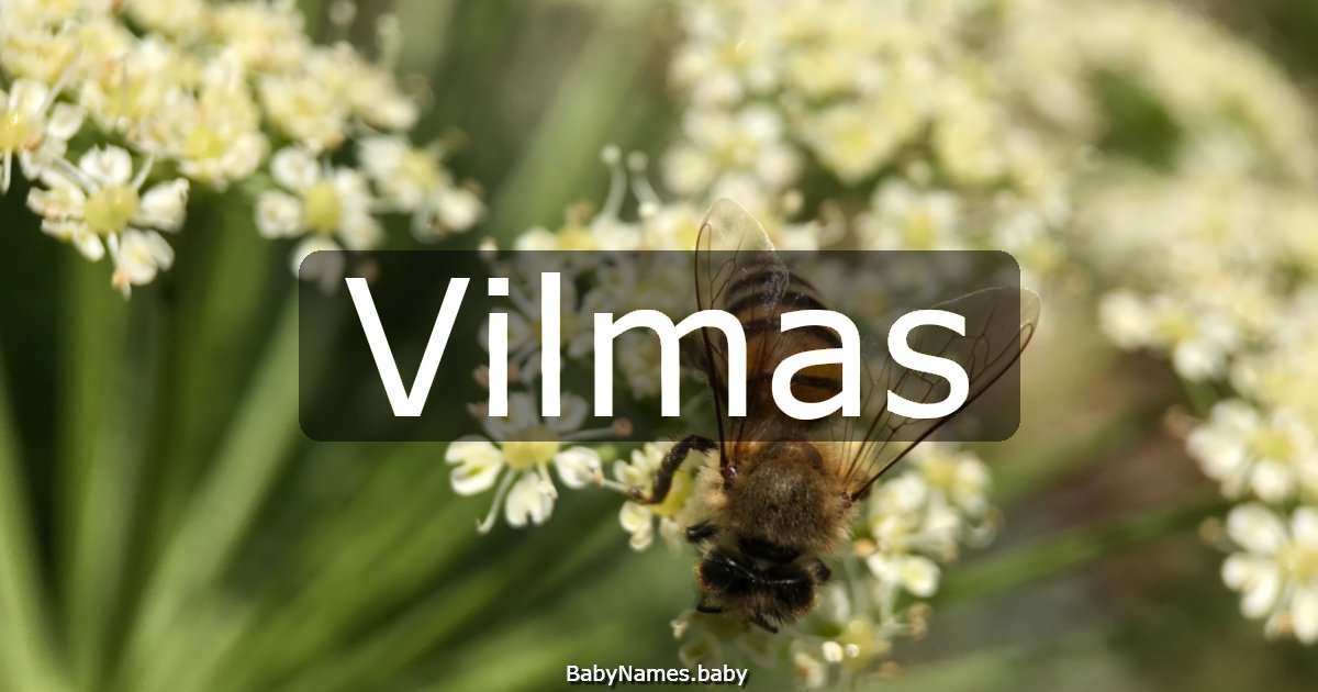 Vilmas