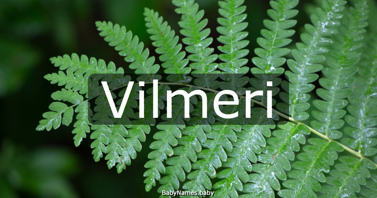 Vilmeri