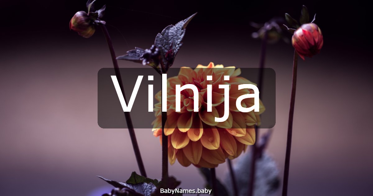 Vilnija