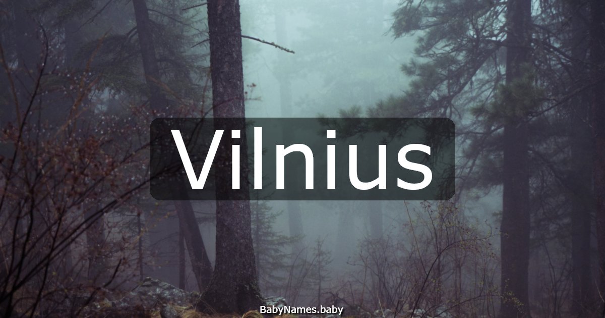 Vilnius