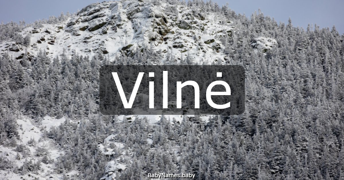 Vilnė