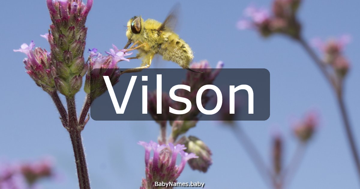 Vilson