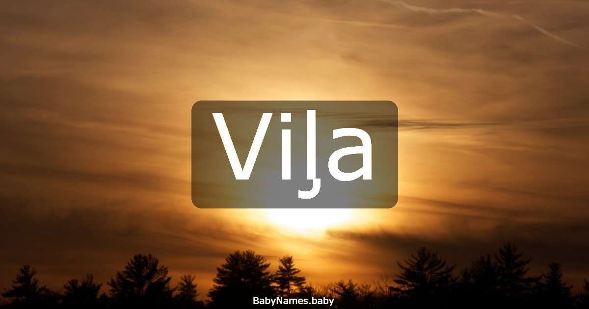 Viļa