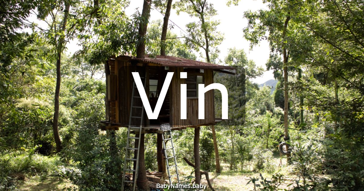 Vin