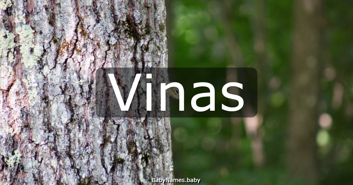Vinas