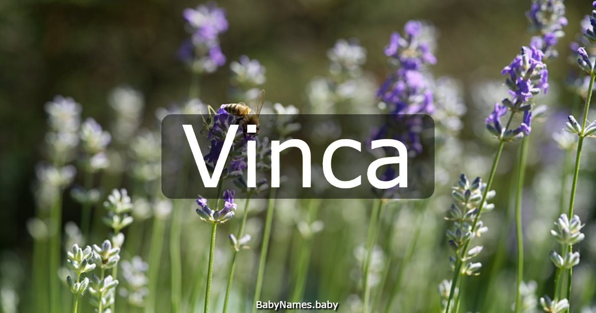 Vinca