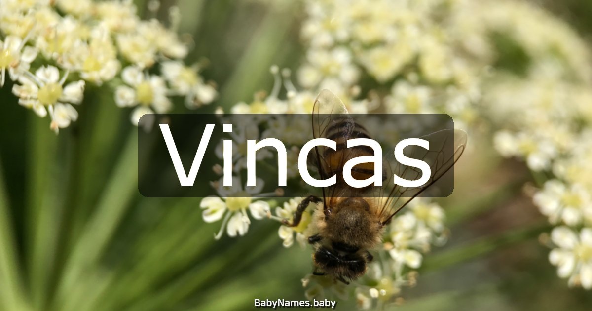 Vincas