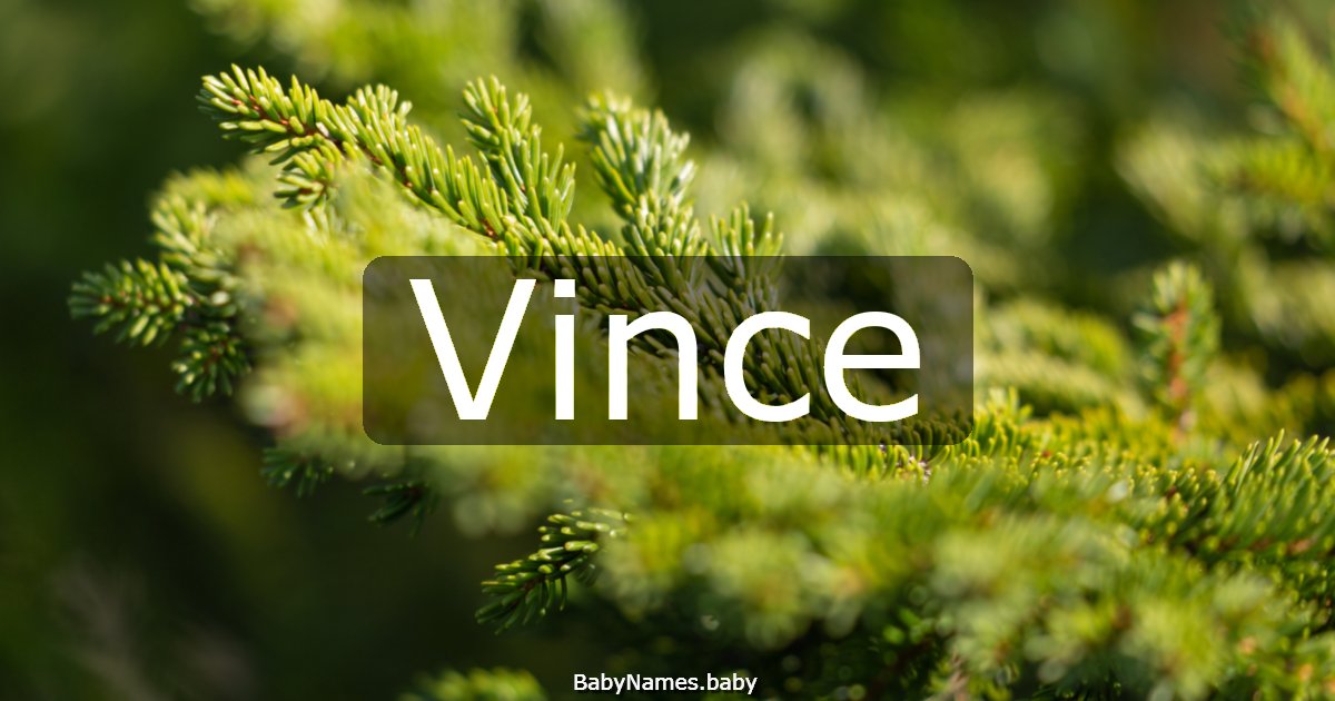 Vince