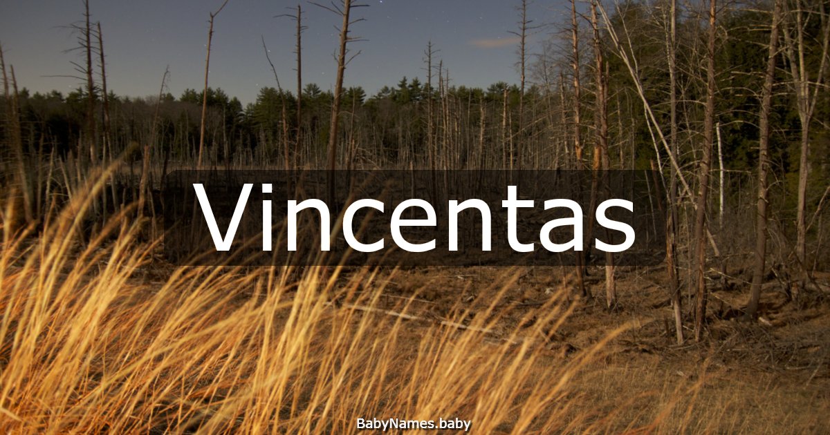 Vincentas