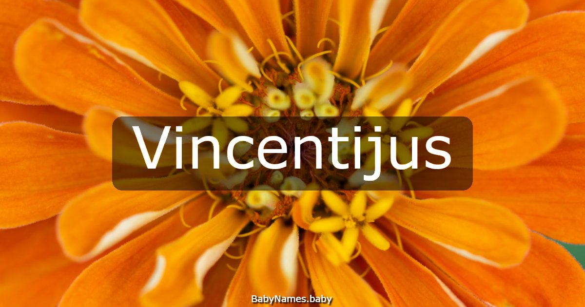 Vincentijus