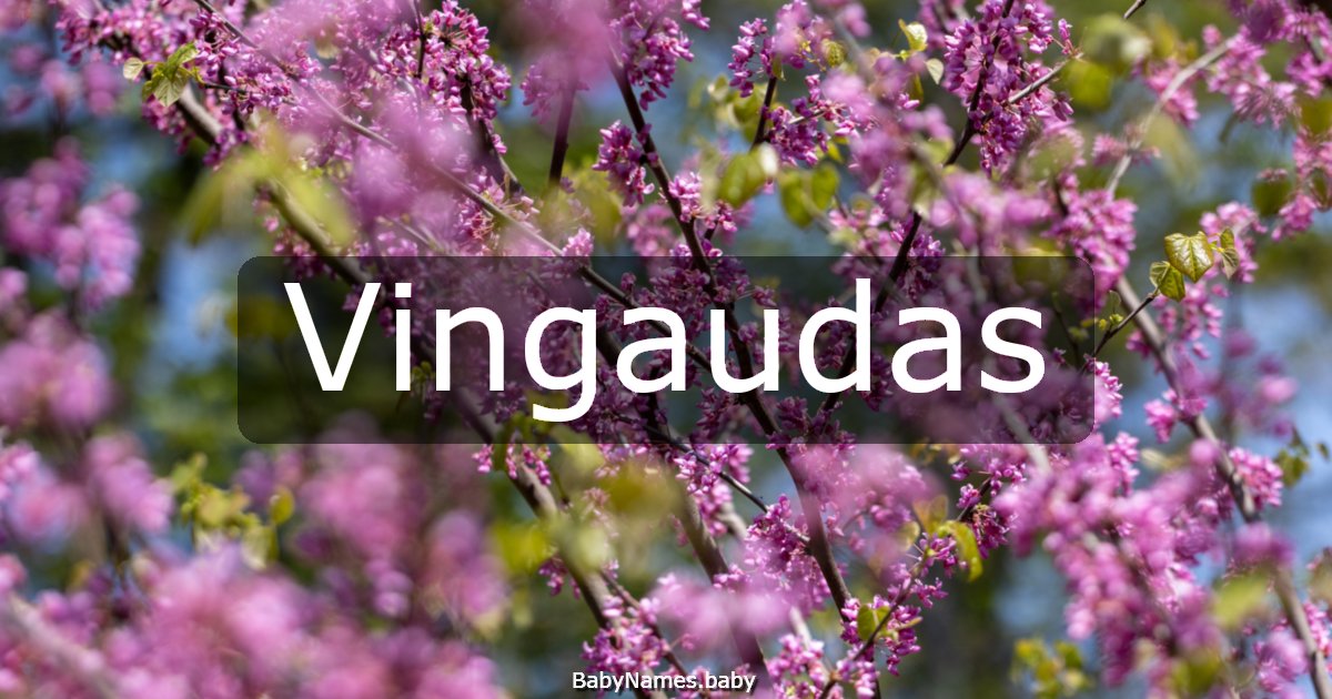Vingaudas