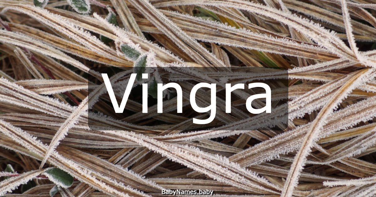 Vingra