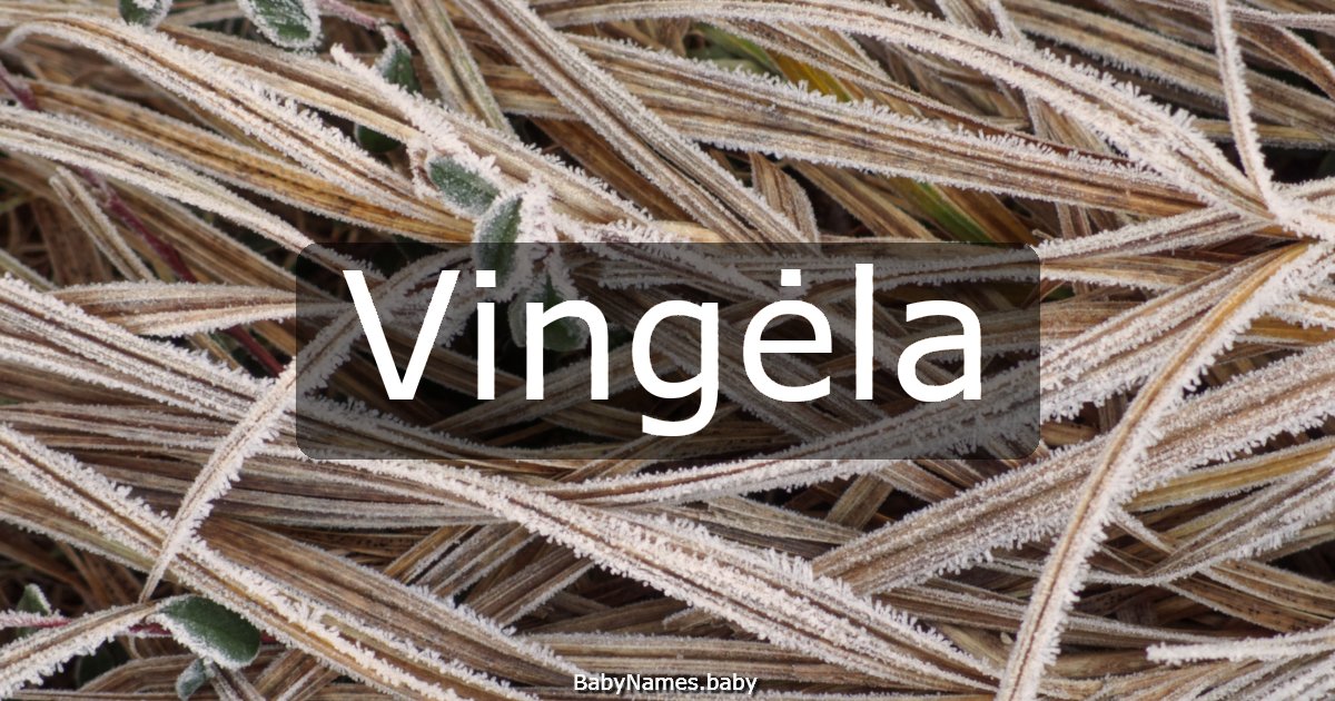 Vingėla