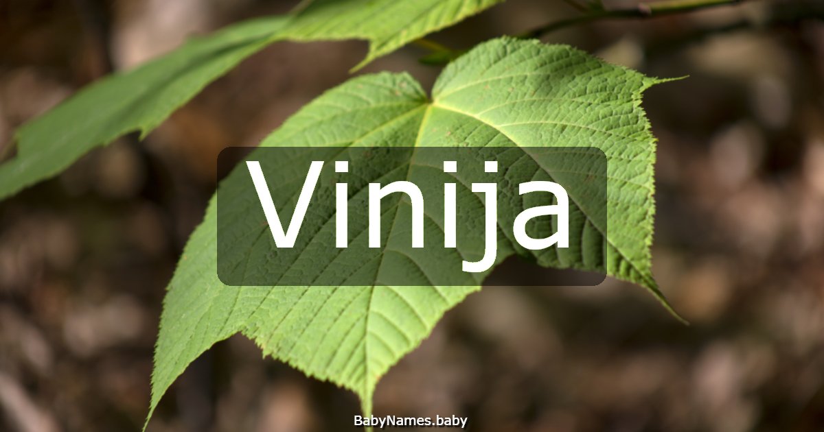 Vinija
