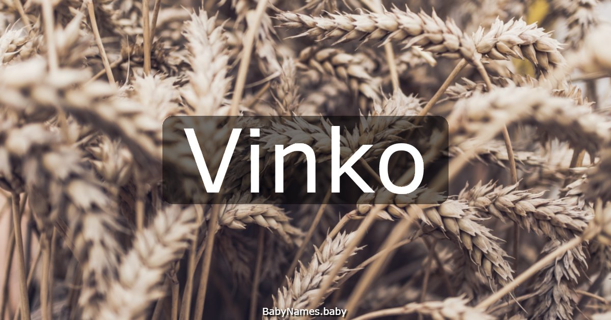 Vinko