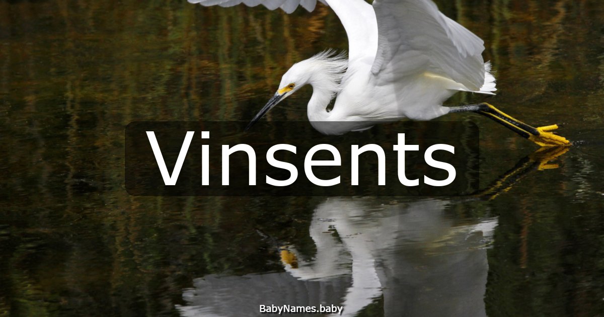 Vinsents