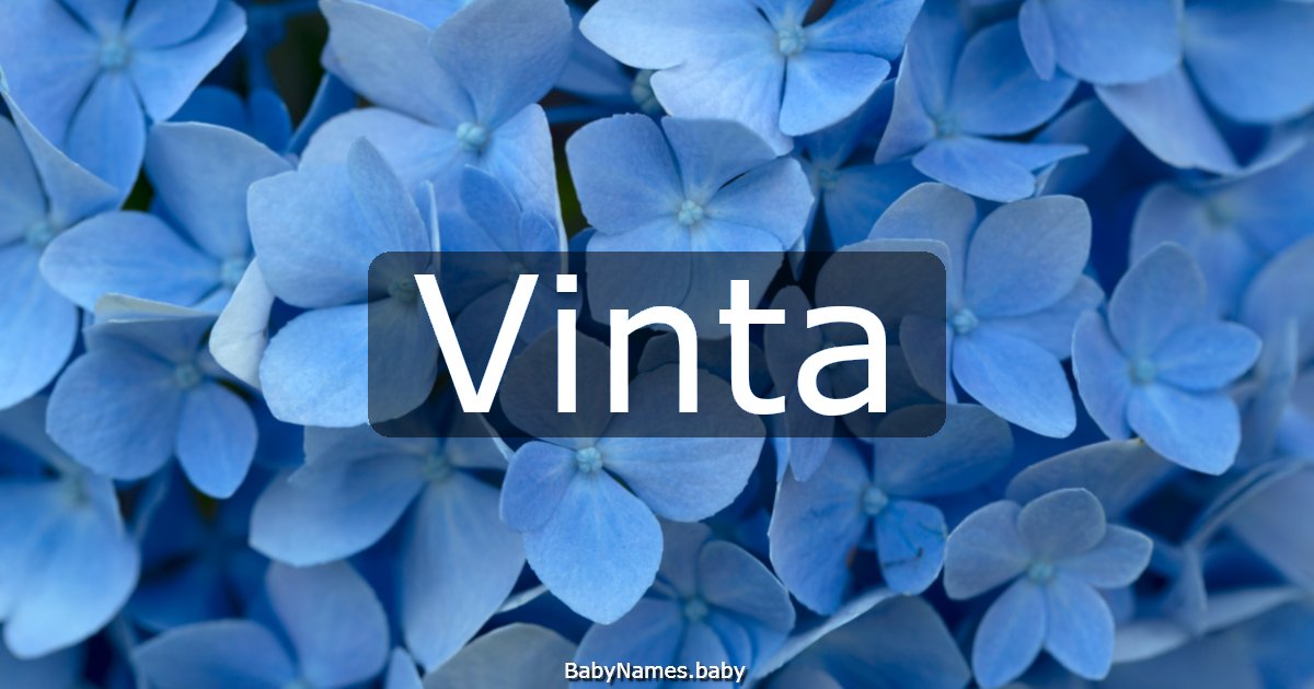 Vinta