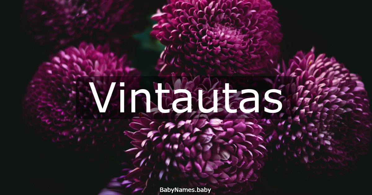Vintautas