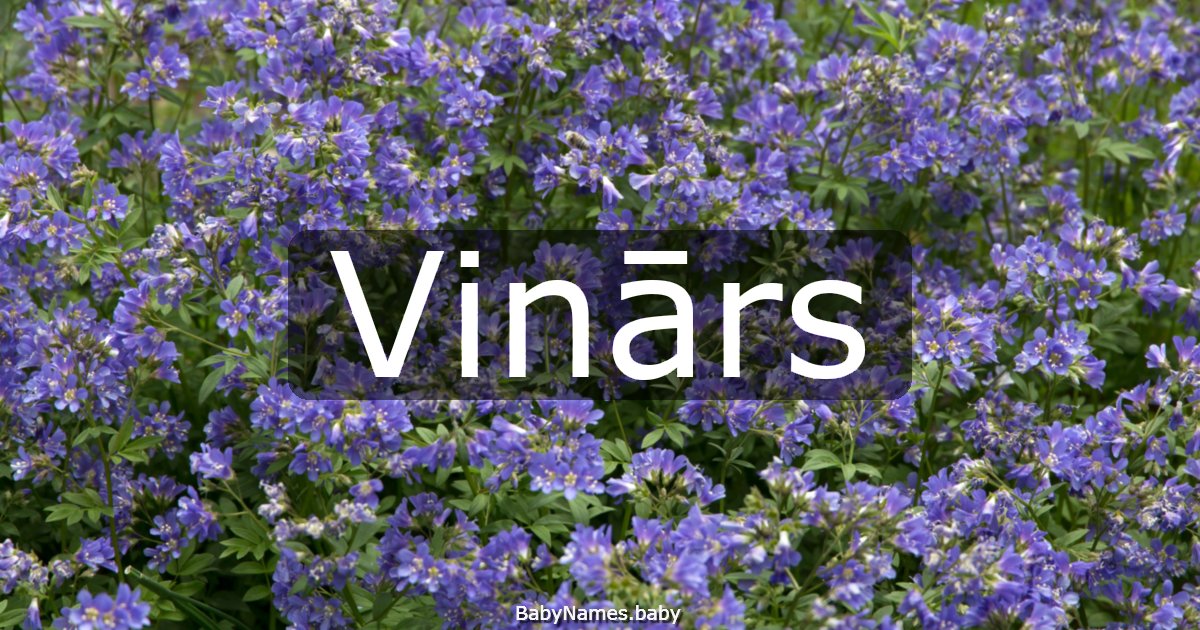 Vinārs