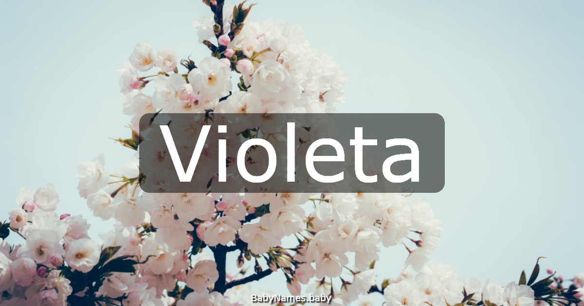 Violeta