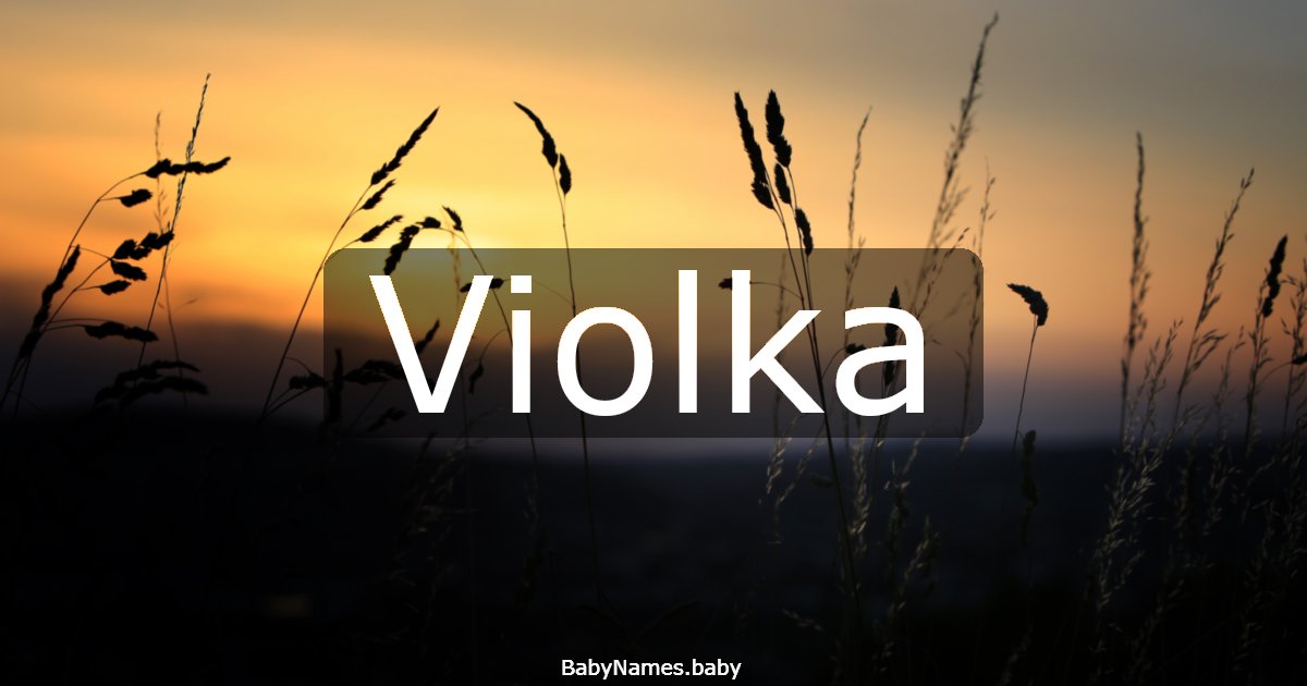 Violka