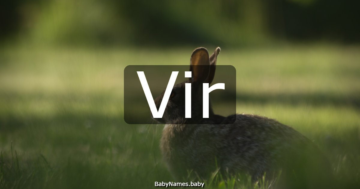 Vir