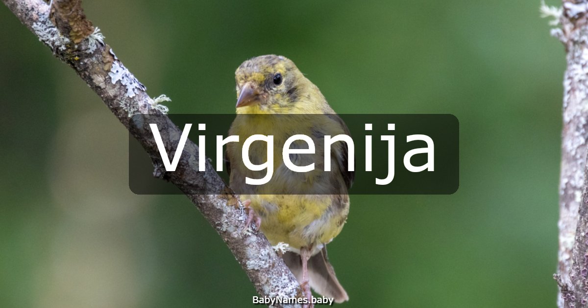Virgenija
