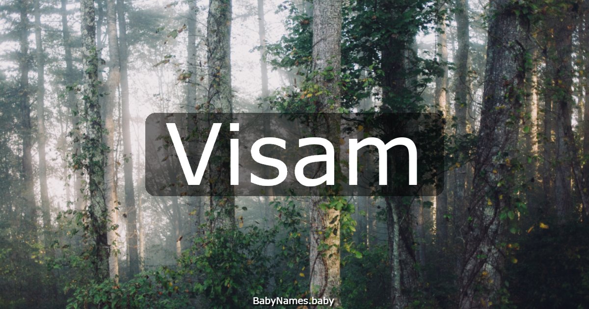 Visam