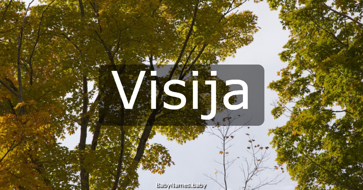 Visija