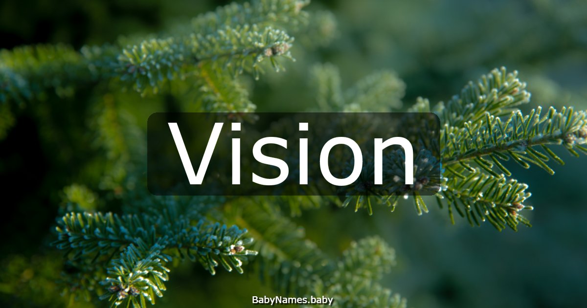 Vision