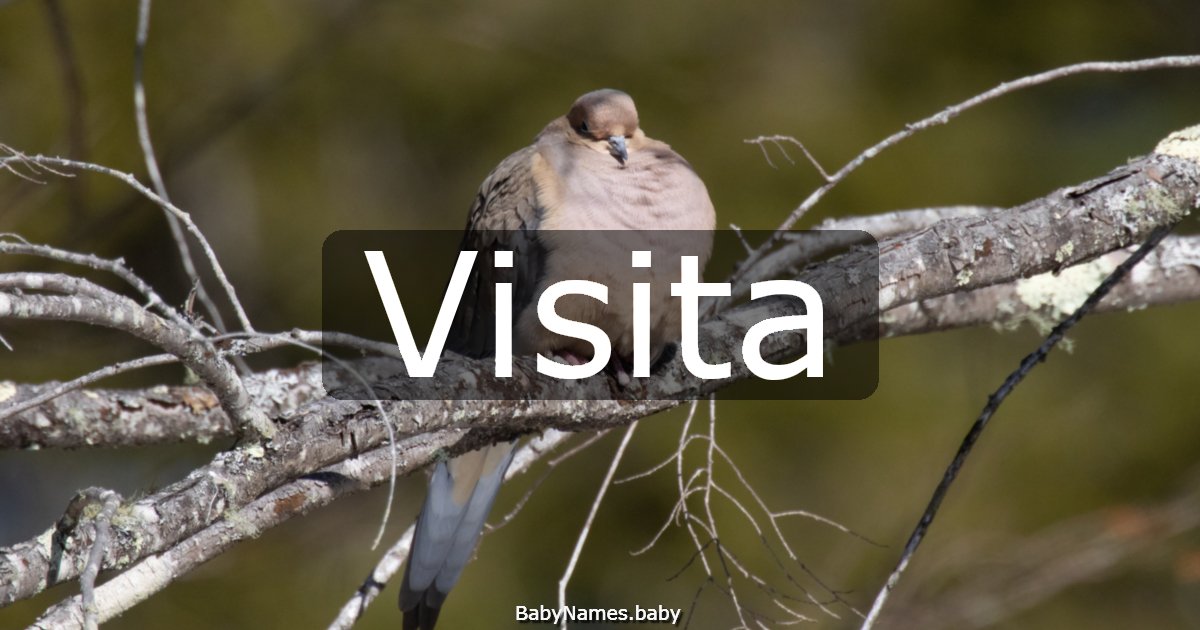 Visita