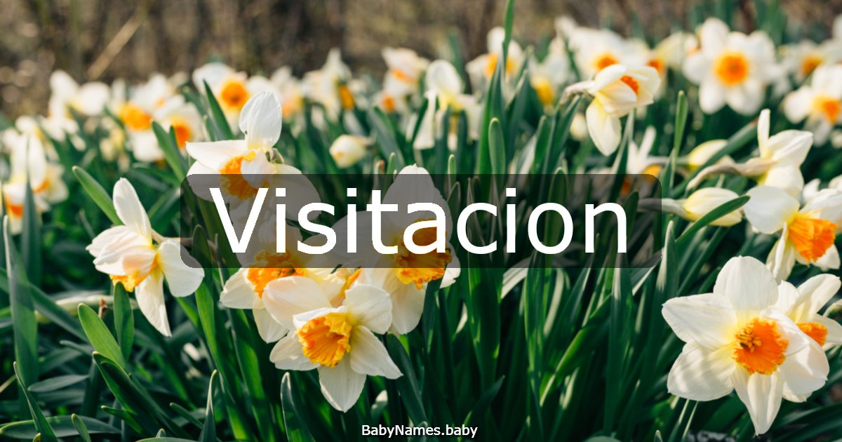 Visitacion