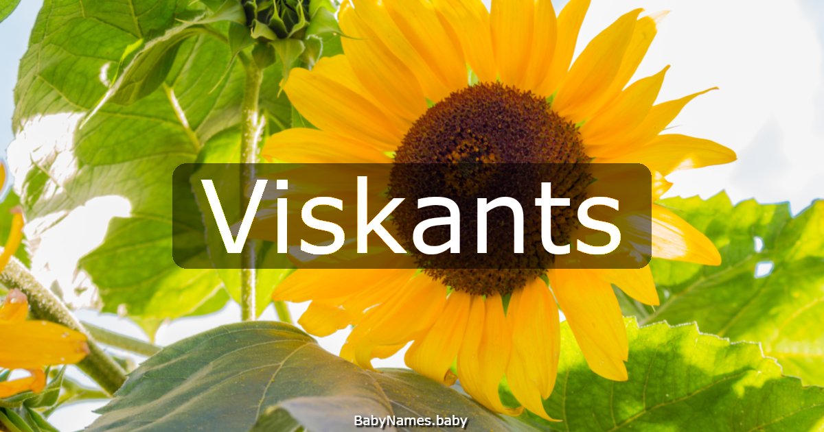 Viskants