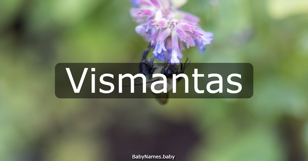 Vismantas