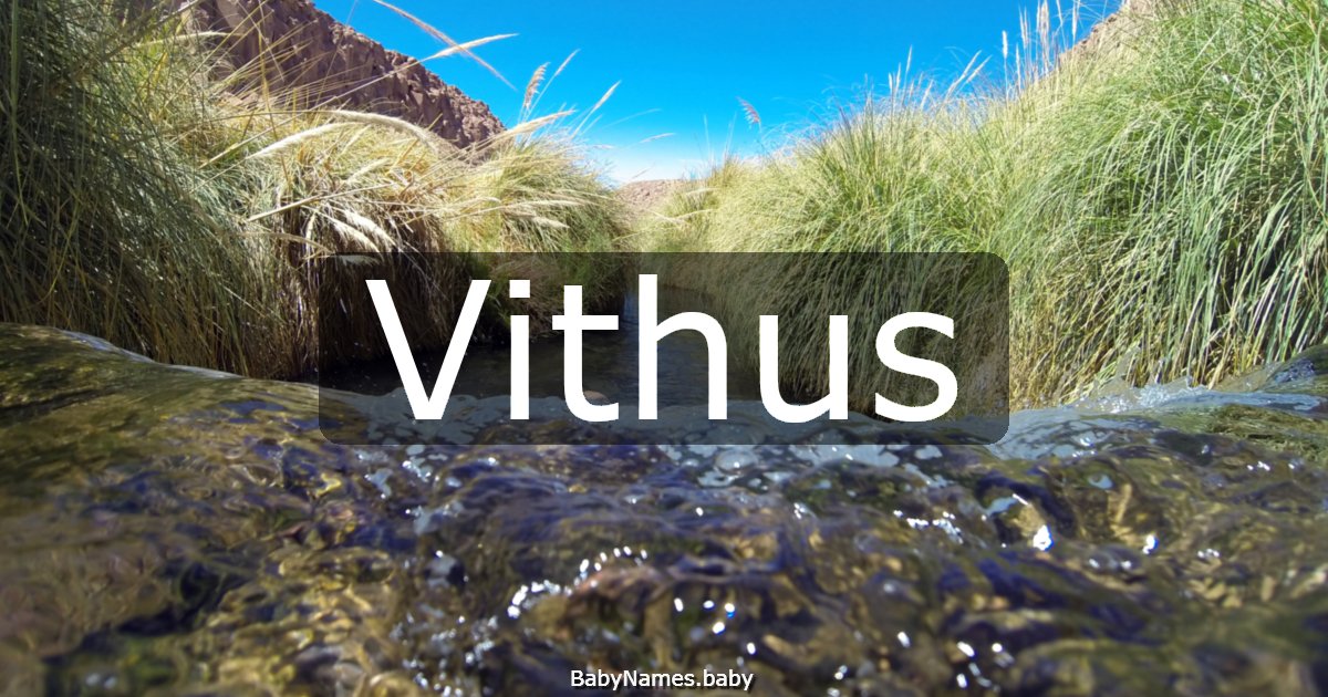 Vithus