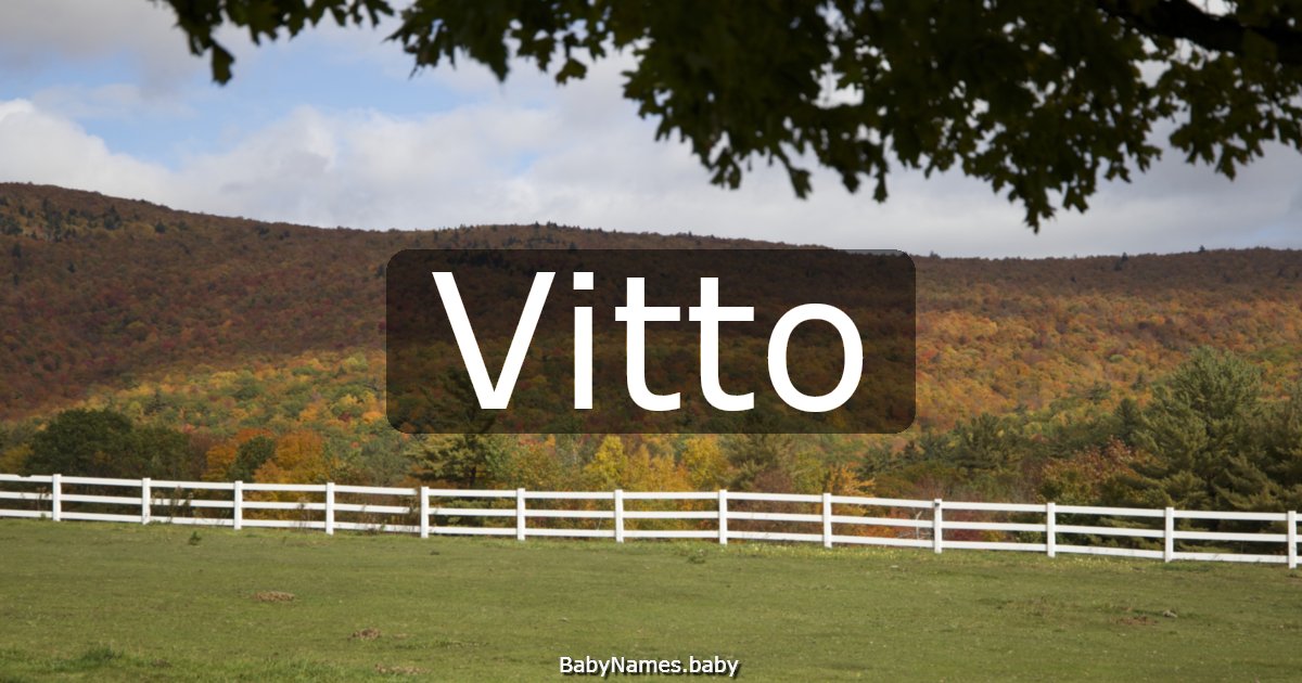 Vitto