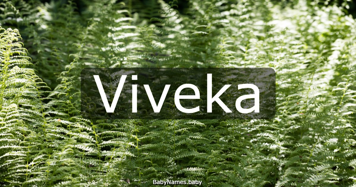 Viveka