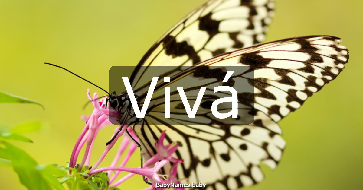 Vivá