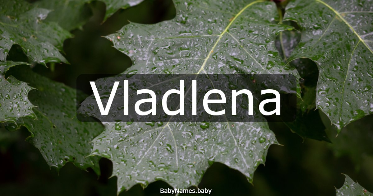 Vladlena