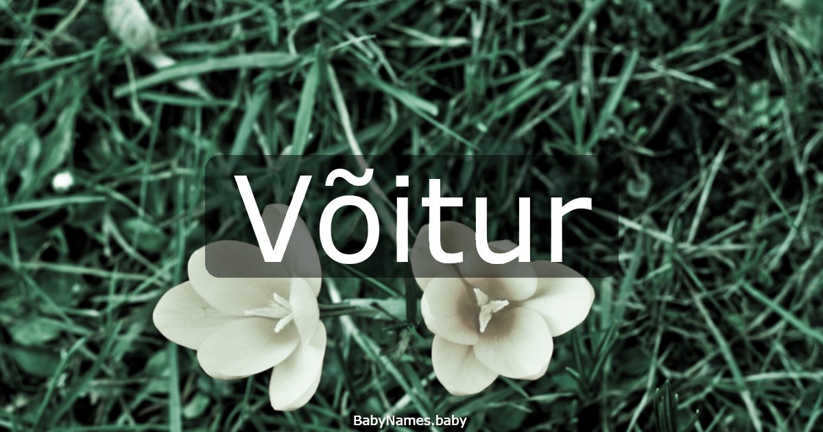 Võitur