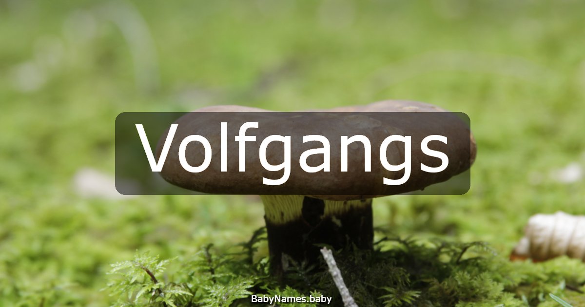 Volfgangs