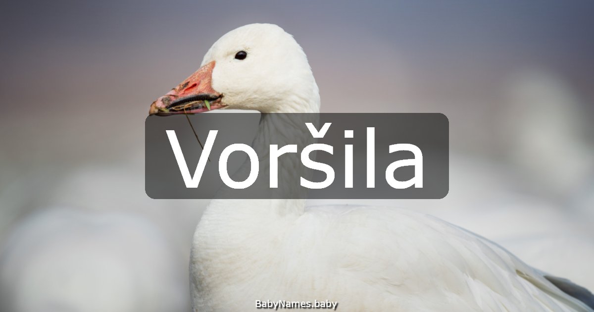 Voršila