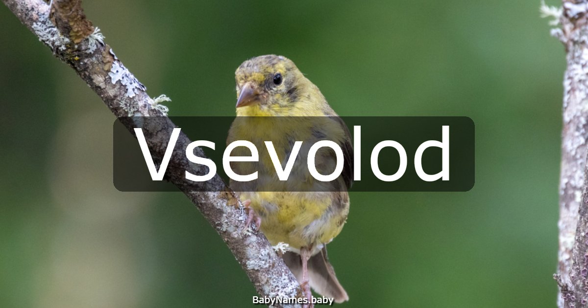 Vsevolod
