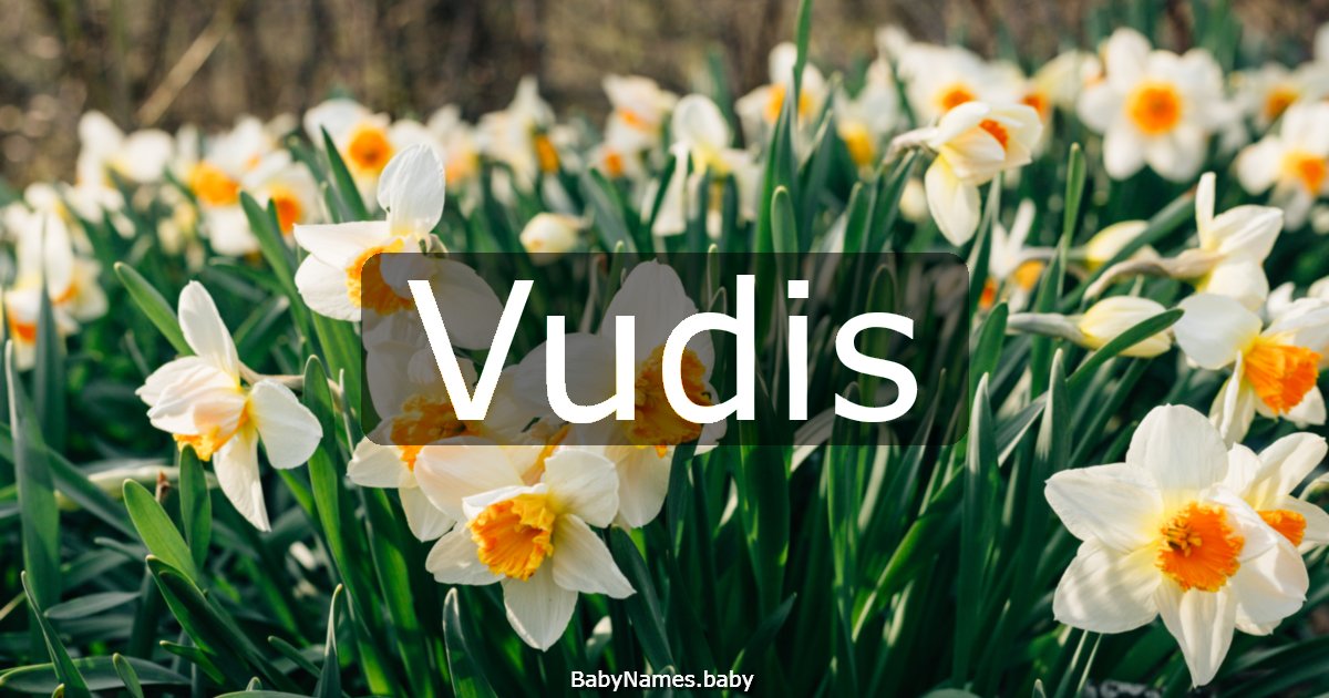 Vudis