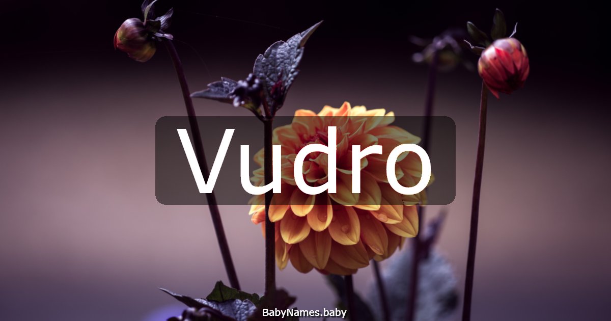 Vudro