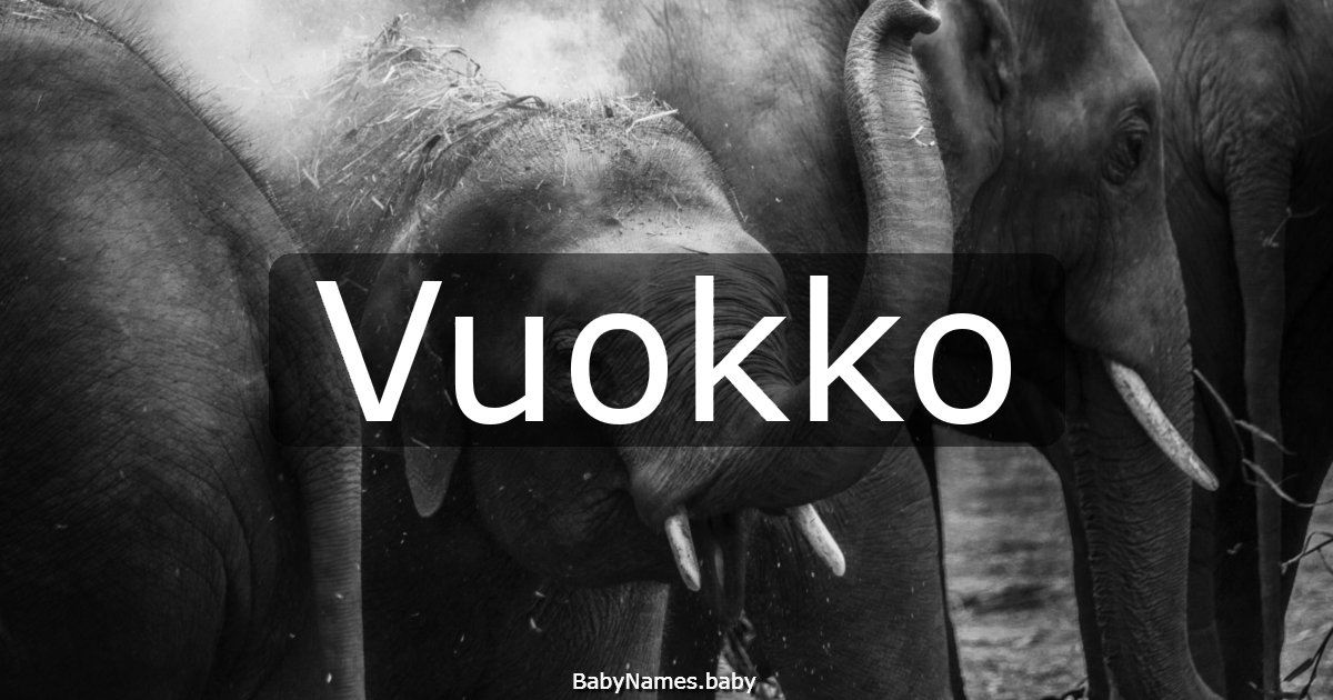 Vuokko