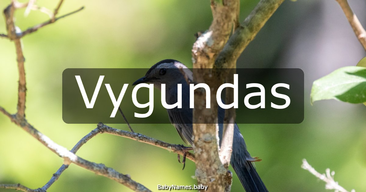 Vygundas